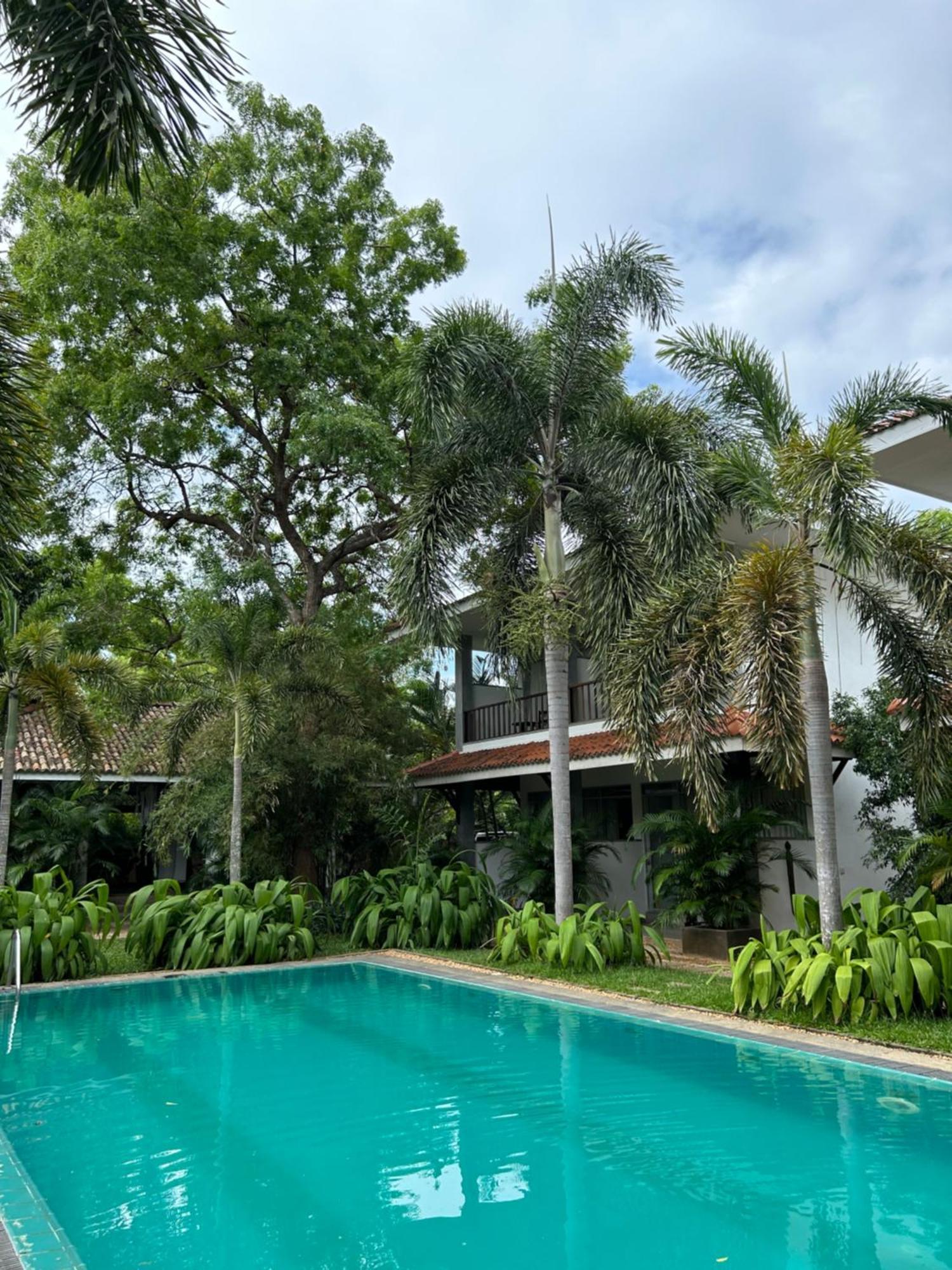 Wild Heaven Hotel Tissamaharama Exterior photo
