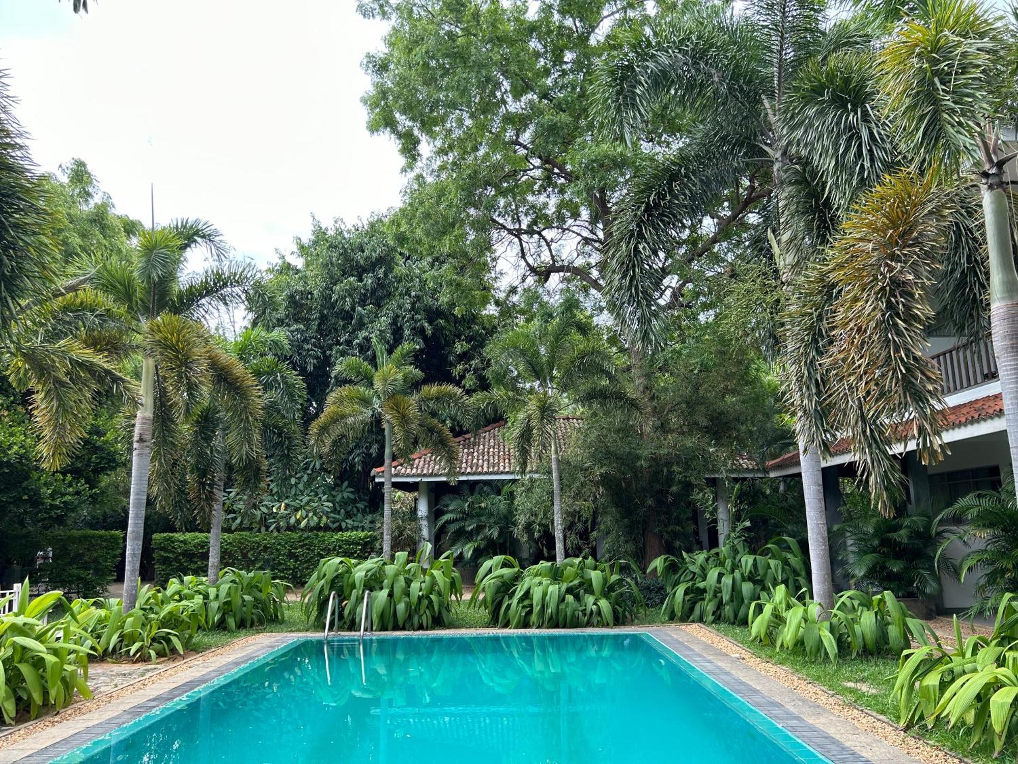 Wild Heaven Hotel Tissamaharama Exterior photo